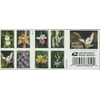Wild Orchids Book of 20 Forever Postage Stamps Scott 5444, Mint Unused Sheet of 20 Forever Postage Stamps. By Brand USPS