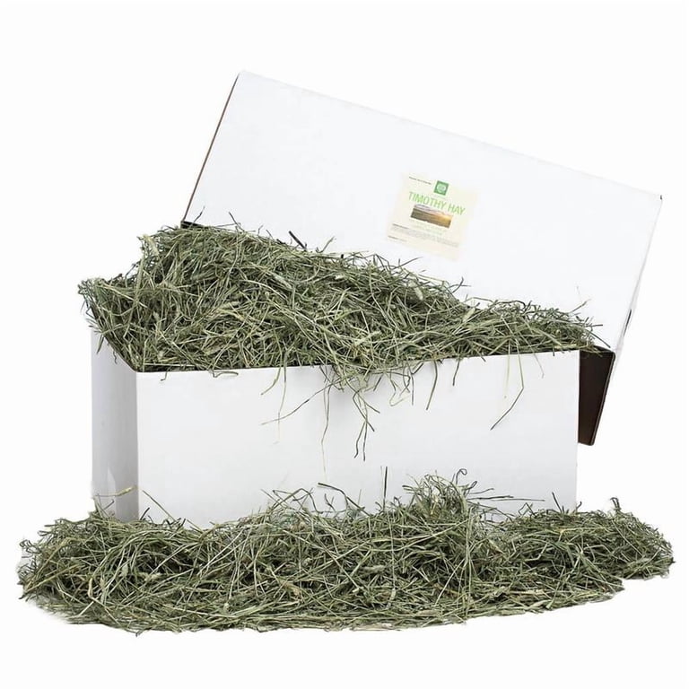 Small Pet Select 2nd Cutting Timothy Hay, 25 lbs photo 1