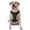 Without Accessories, variant on Vsdgher Emerald Green Sparkling Dog Harness, No-Pull Pet Harness, Dog Vest, Pet Vest for Small to Large Dogs-Medium
