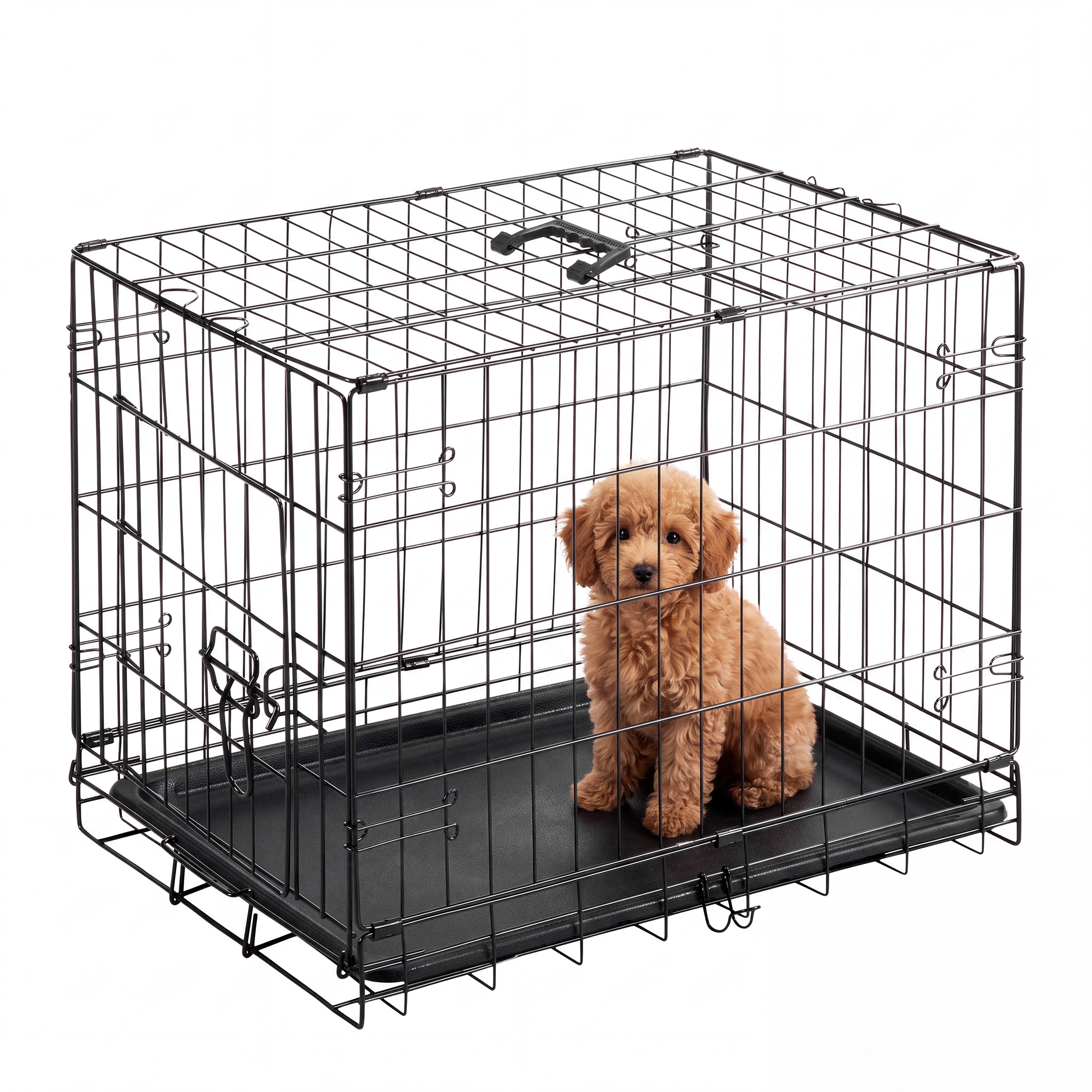 EDX Single Door Folding Metal Wire Dog Crate, 24 Inch photo 1