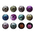 thumbnail image 2 of Set de esmaltes de uñas PUEEN Rocking Metallic Stamping, 12 colores, 12 ml, 2 of 9