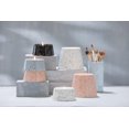 thumbnail image 3 of Paddywax Confetti Collection Scented Candle Small- 5 Ounce Cactus Flower + Coconut, 3 of 8