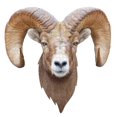 thumbnail image 1 of I AM Ram 550 Piece Animal Head-Shaped Jigsaw Puzzle, 1 of 2