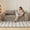 Camel, variant on S-HOME Ergonomic Loveseat Sofa in Striped Pattern with Foam Cushion, Deep Seat Design for Living Room, Bedroom and Apartments, Green