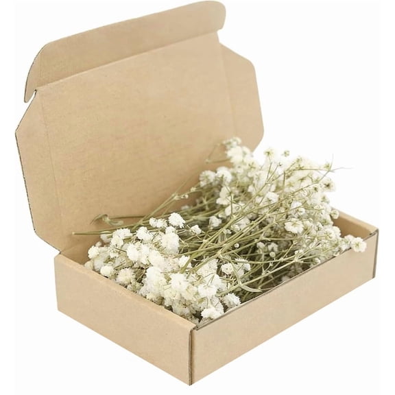 50Pcs Dried Pressed Baby's Breath Flowers - Natural Flat Real White Gypsophila Mini Breath Flowers,Natural for Vase,Crafts,Resin Art Mini Mixed Floral Set for DIY, Wedding Card