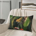 thumbnail image 5 of Lsque butterflies and floral Pattern Pillow Case – Soft & Cozy Throw Pillow Cover, Hypoallergenic Cushion Case for Sleeping Women with Envelope Closure-14"x20", 5 of 6