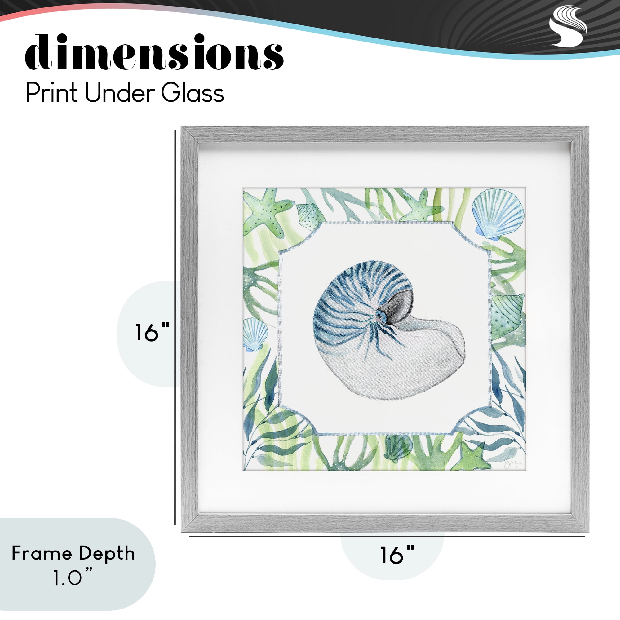 Stupell Industries Seaweed & Seashells Aquatic Gray Framed Print Under Glass, design by Janet Tava