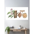 thumbnail image 2 of Sandalwood Perfume Ingredient Poster Wall Art, Modern Wall Decor For Living Room Bedroom, 16x24 UNFRAMED, 2 of 3