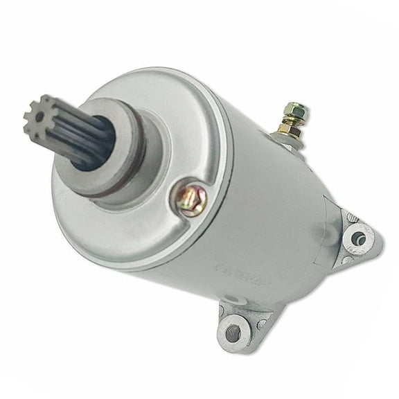 Starter Motor 21040109100 21040500801 21040109114 Fits for Odes V Twin UTV 1000 800 for Dominator D2 D4 X2 X4 Raider ATV Ravager