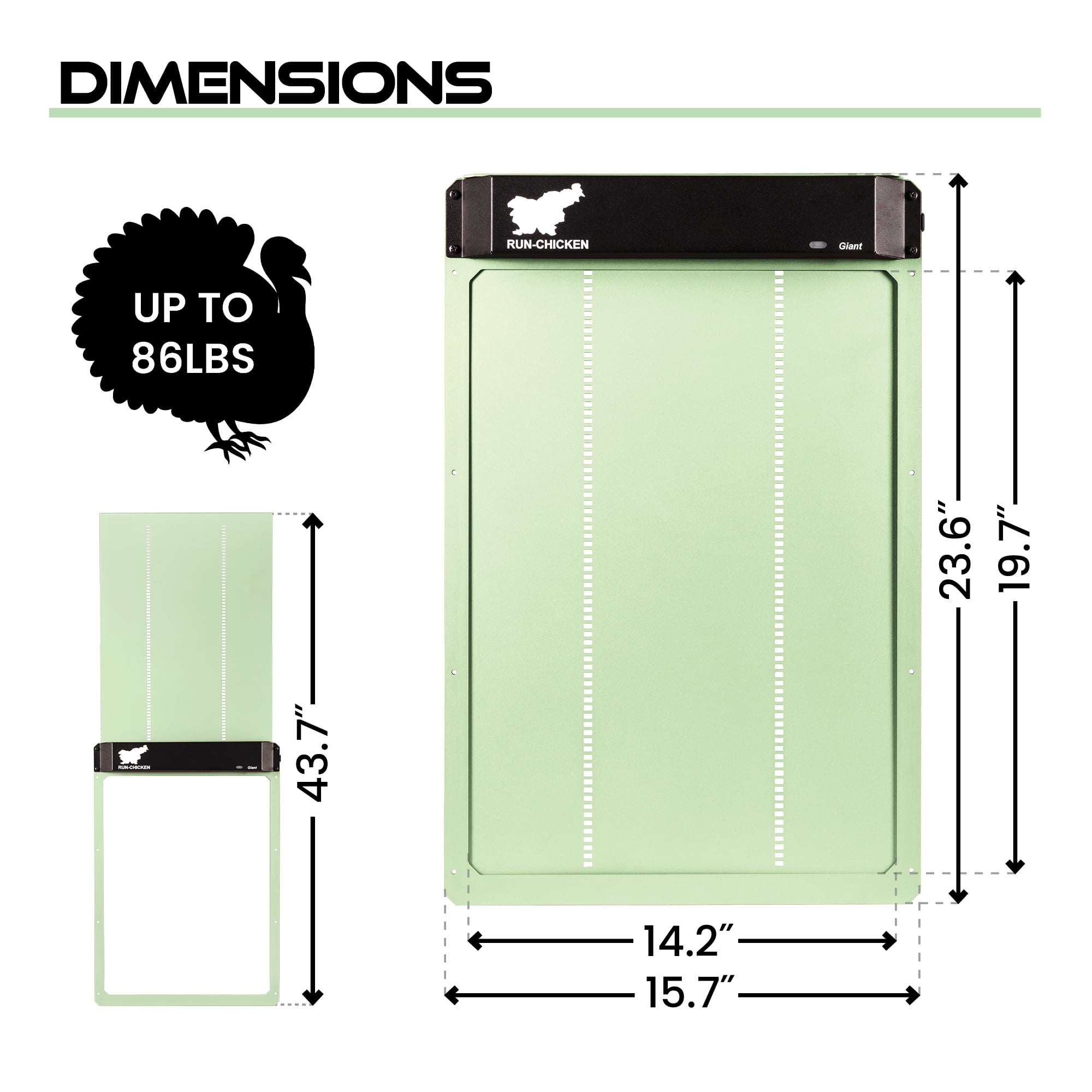 RUN-CHICKEN - GIANT Automatic Coop Door (Mint)