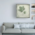thumbnail image 2 of Trademark Fine Art Cicek Kiral Before The Decay Canvas Wall Art, 2 of 4