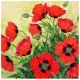 thumbnail image 2 of 5D DIY diamante pintura flor taladro completo bordado cruz puntada arte imagen Likrtyny decoración de arte, 2 of 9