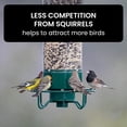 thumbnail image 4 of Djiypn Squirrel Proof Bird Feeder for Outdoors, 6lb Seed Capacity | Weight-Activated Rotating Perch,Stabilized Seed Tube, Hanging Bird Feeder for Finch Cardinal Chickadee, 4 of 7
