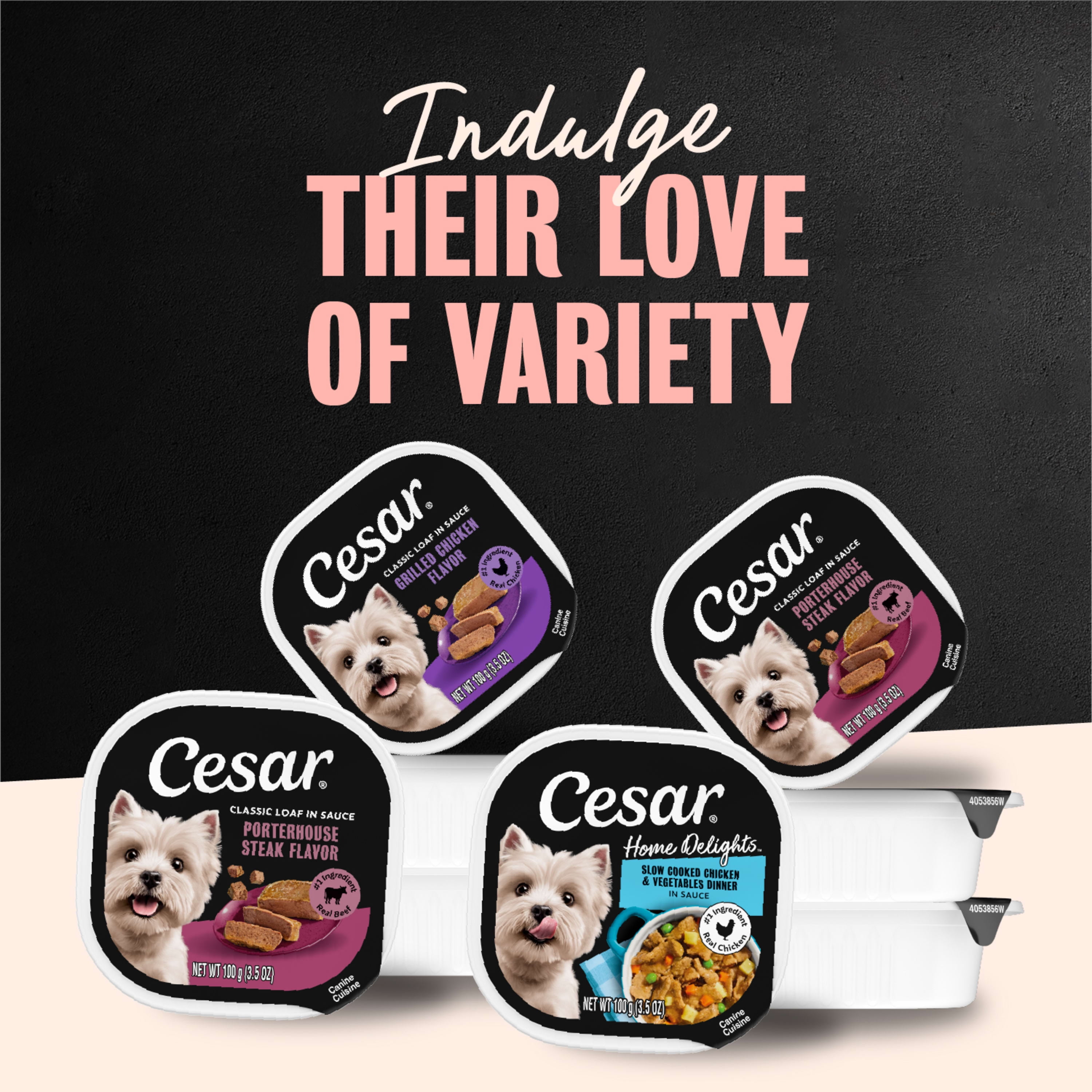 Cesar Chopped Favorites Filets In Gravy Wet Dog Food, 3.5oz, Variety Pack of 36