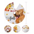 thumbnail image 7 of Hello Fall Thanksgiving Christmas Tree Skirt 48 Inches Large Christmas Skirt Tree, Autumn Red Orange Maple Leaf Dog Tree Skirt Christmas Decorations for Fireplace Party Holidays Indoor Outdoor, 7 of 7