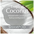 Suave Essentials Tropical Coconut Shampoo, 12 oz