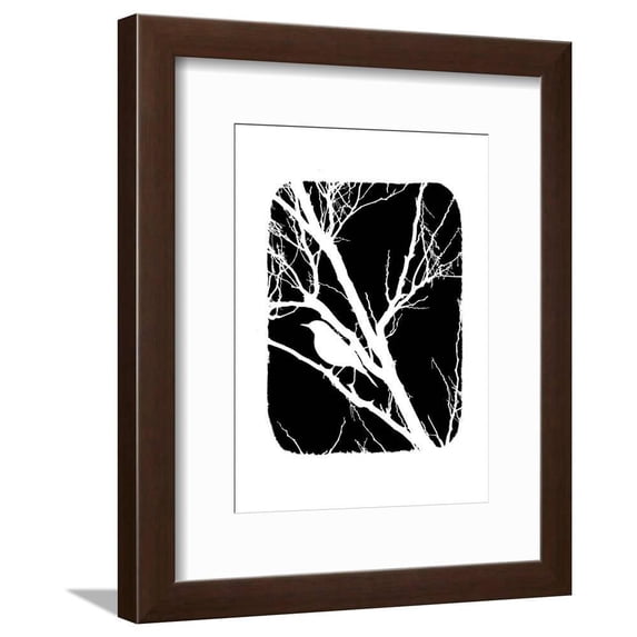 White Bird, Animals Framed Art Print Wall Art by Ricki Mountain Sold by Art.Com