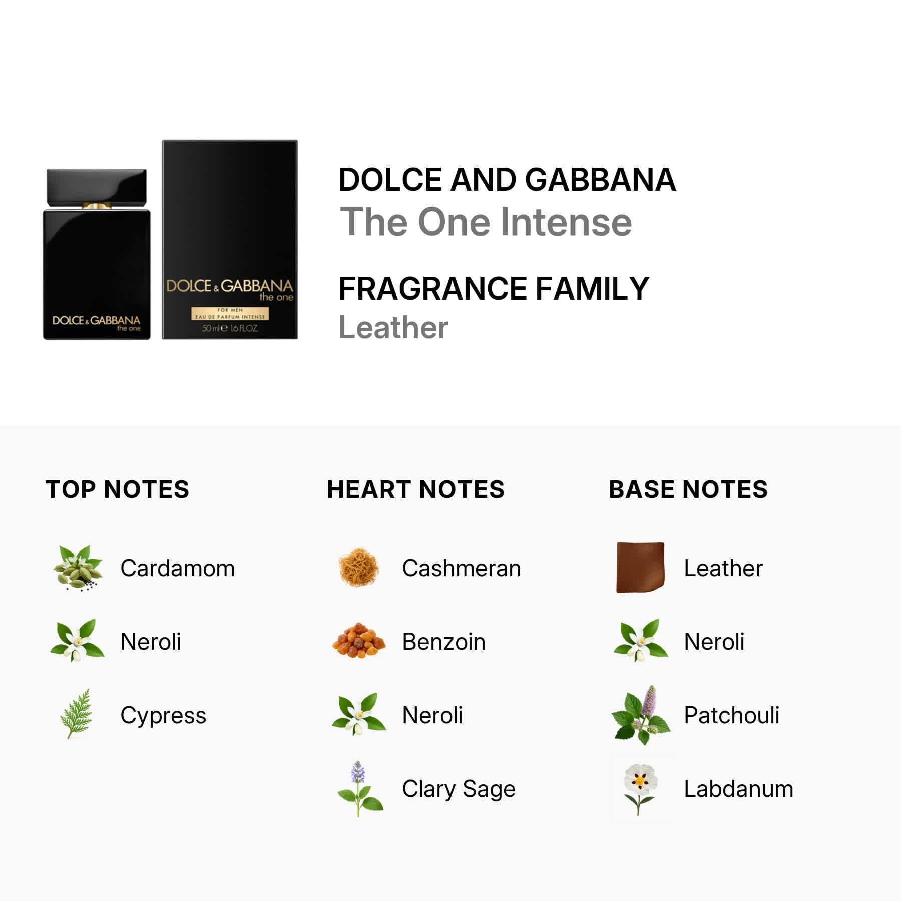 Dolce & Gabbana The One Intense Eau De Parfum Spray, Masculine