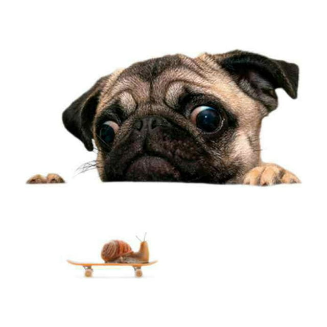20x30CM Cute Pooch Snails Pattern Wall Sticker Funny wall sticker PVC PVC Material Non-toxic Wall Decal for Home Decoration