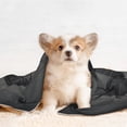 thumbnail image 4 of Disketp Black Spiders Dog Blanket/Bed Cover for Dogs and Cats,Puppy Essentials-Medium, 4 of 8