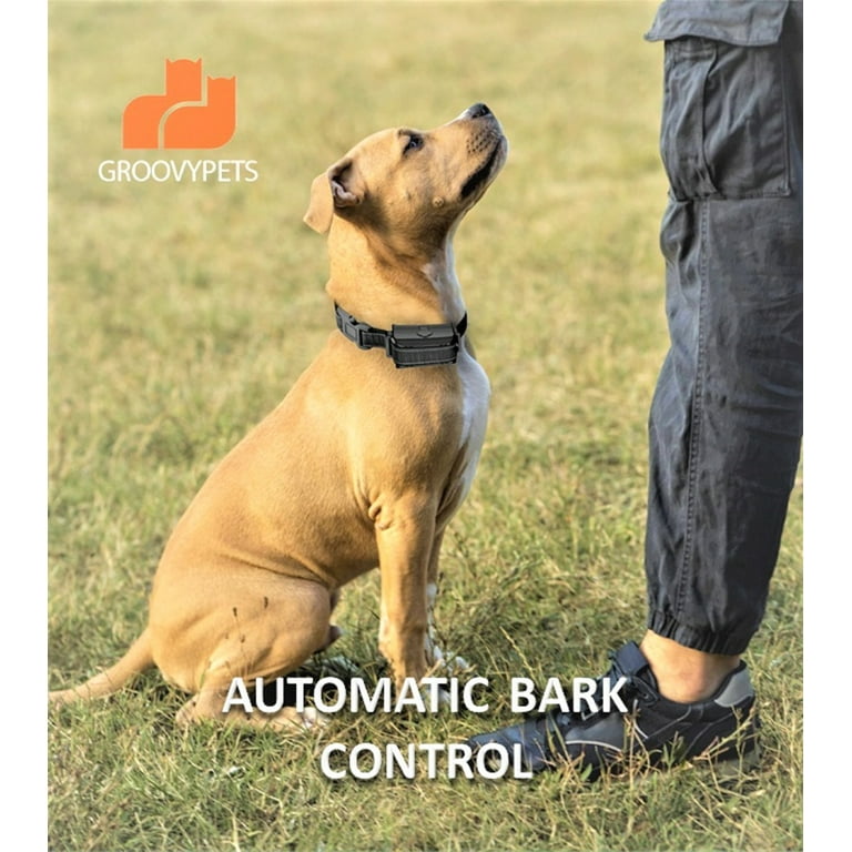 Shock collar with auto anti bark cheap