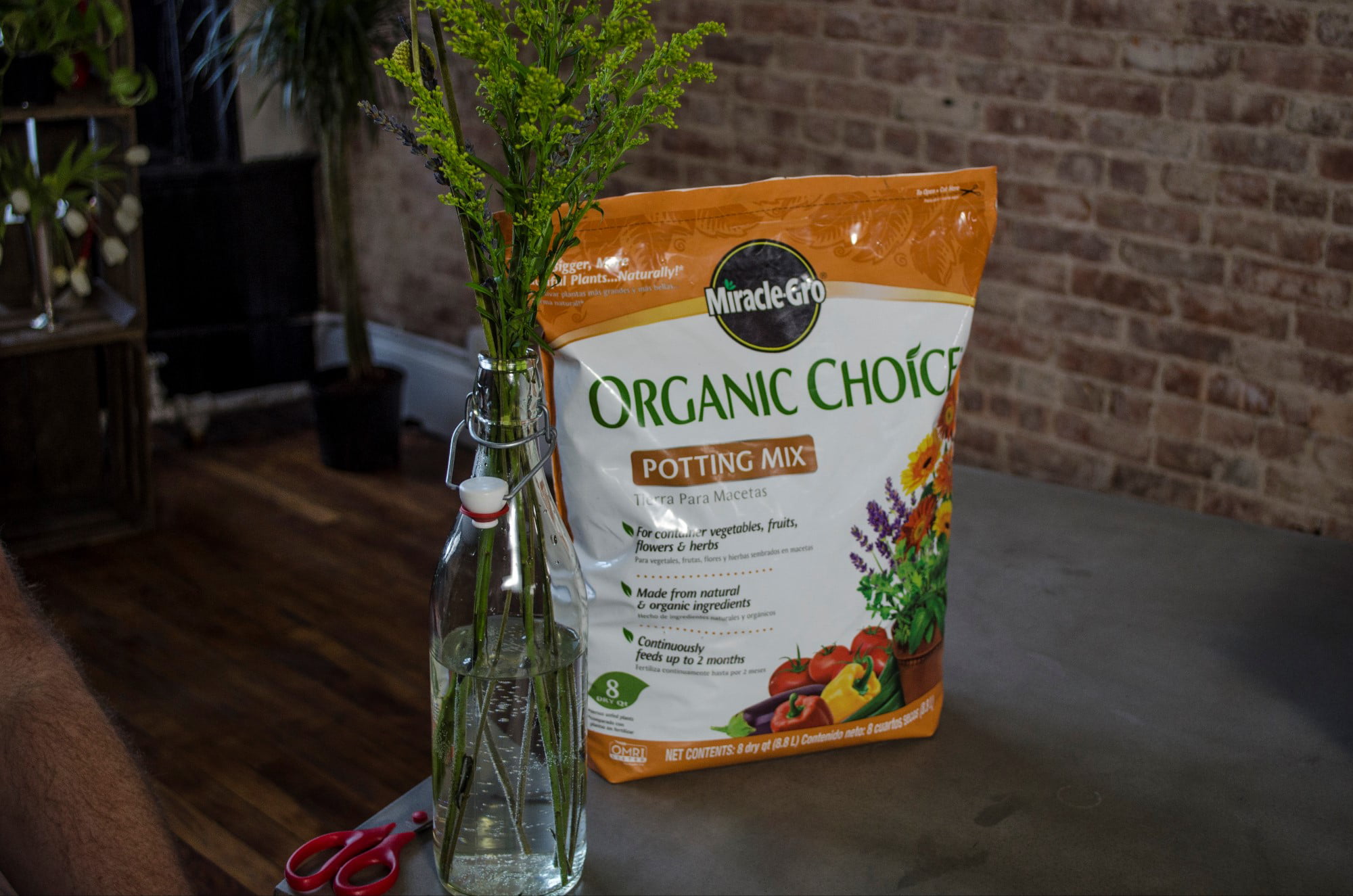 Miracle-Gro Organic Potting Mix, 8 qt., Feeds to 2 Months - Walmart.com