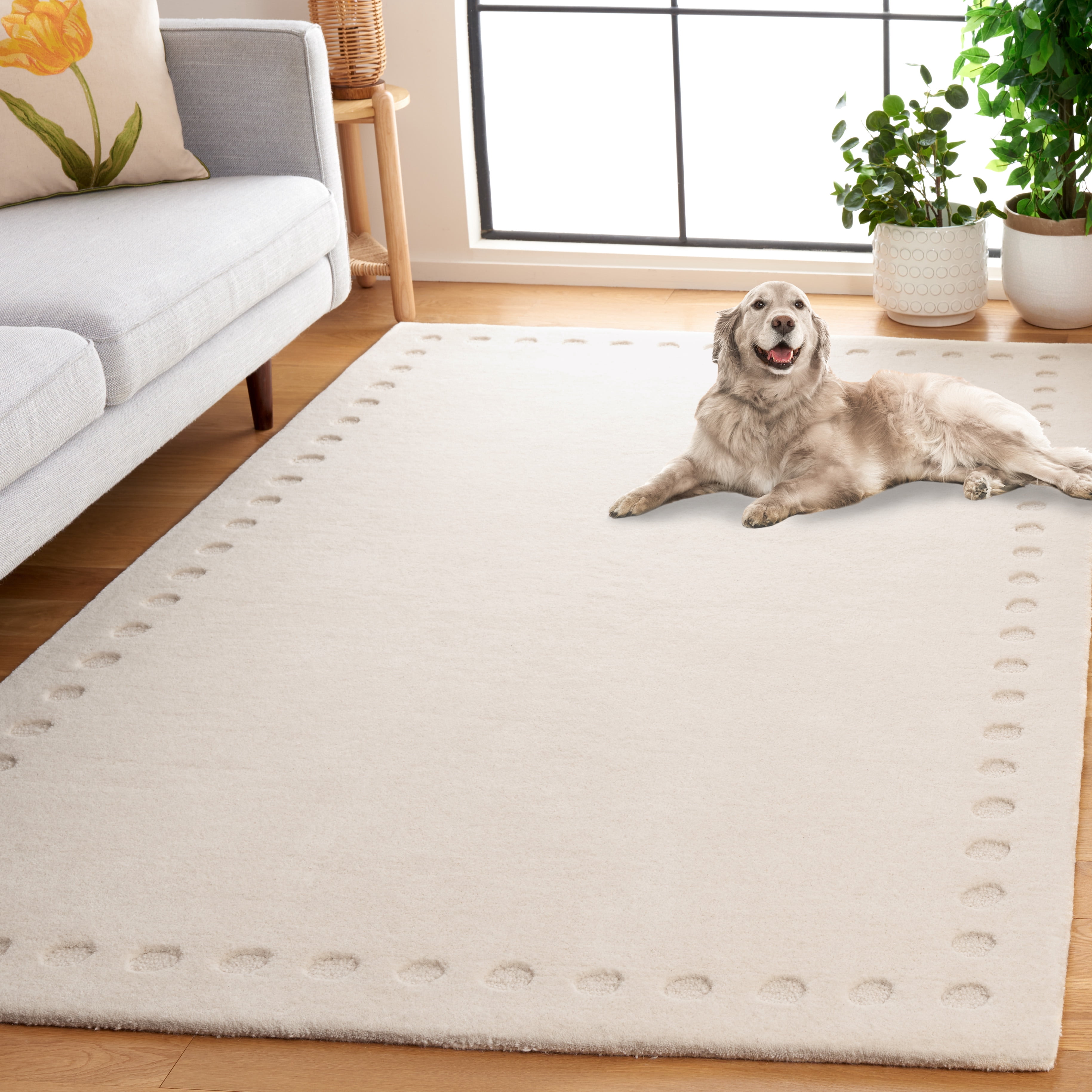 Safavieh Metro Emory Bordered Area Rug, Ivory, 4' x 6'