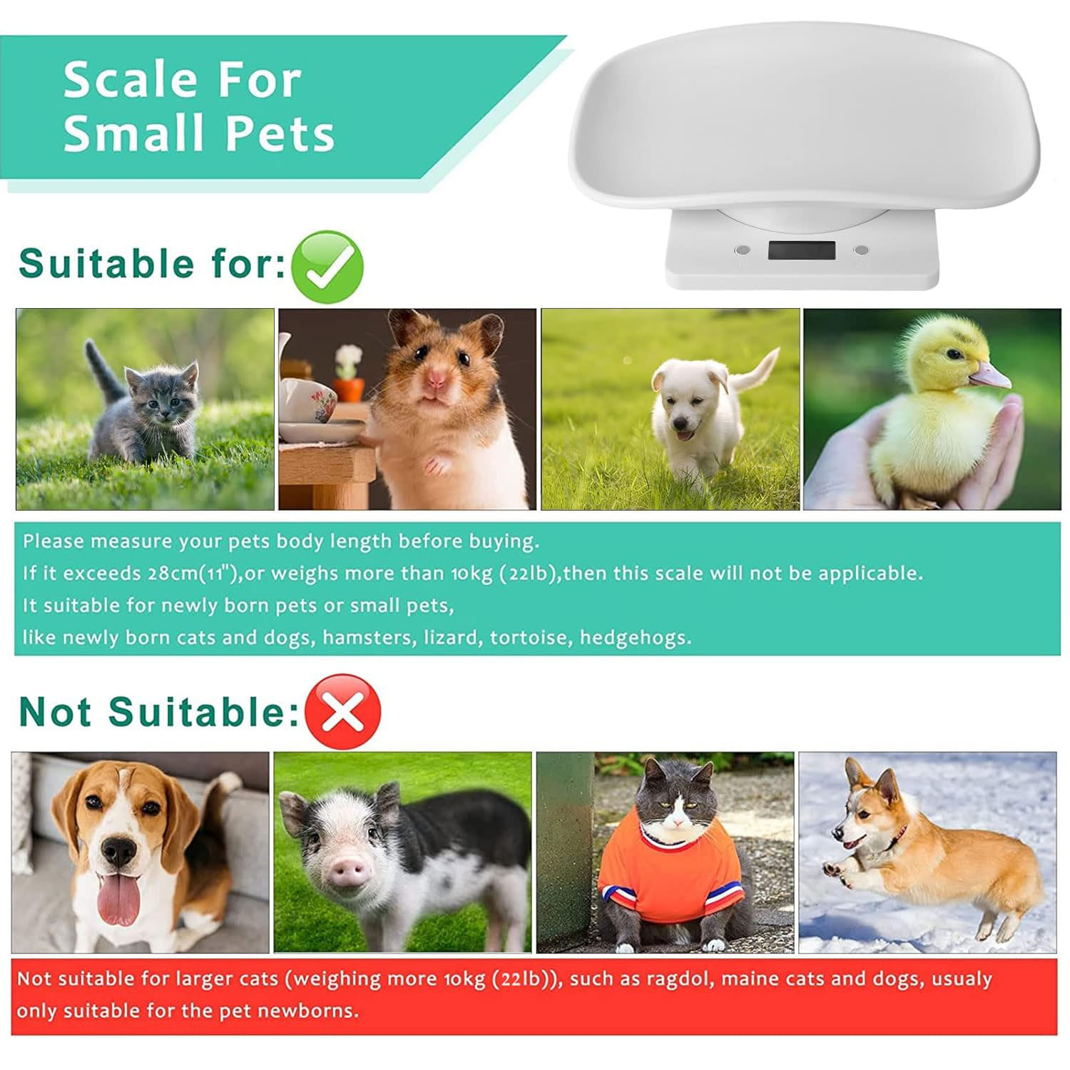 KABB Multifunction Digital Display Plastic Digital Baby Scale for Small Animals with Tape Measure, 33 lb Capacity, White