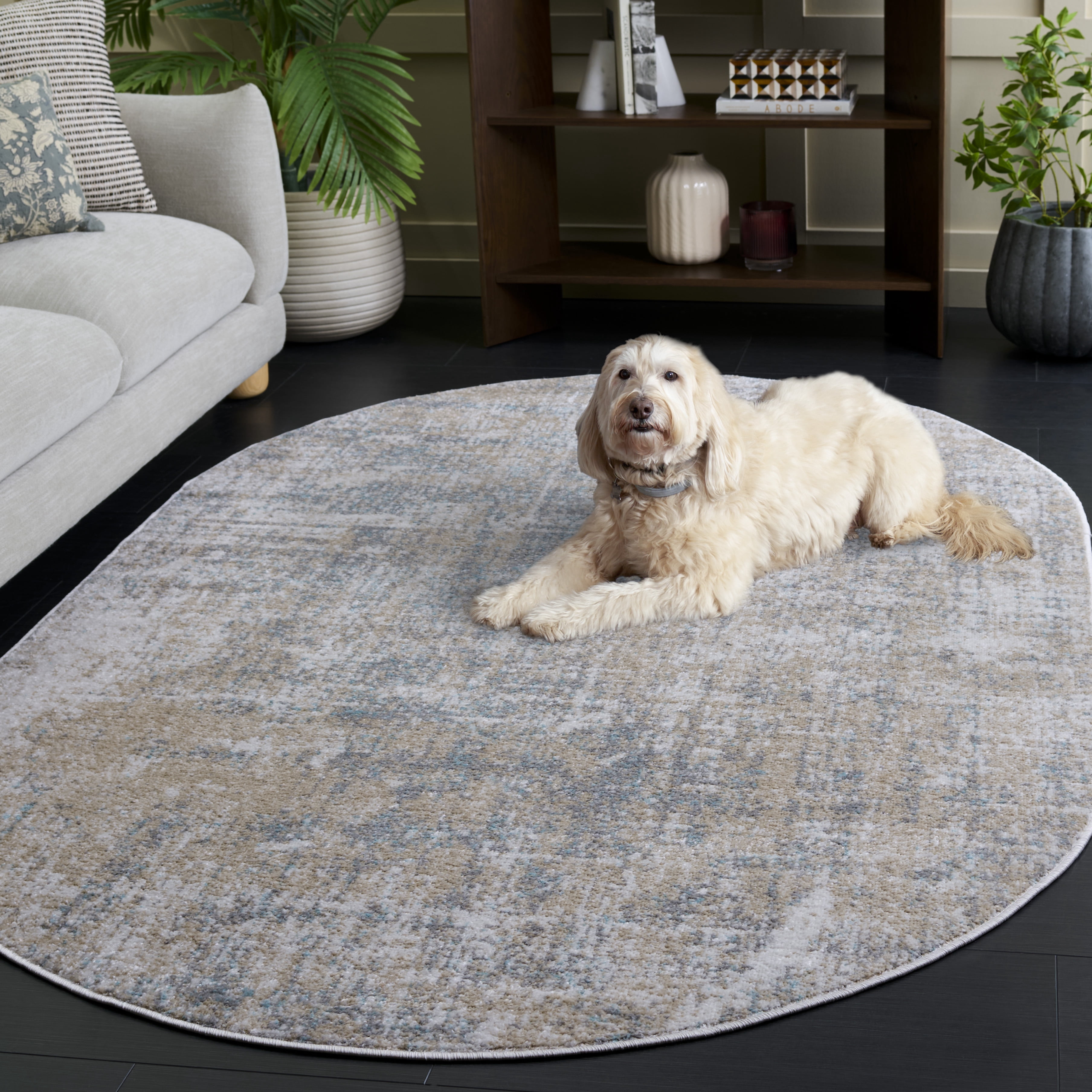 Safavieh Adirondack Boniface Distressed Area Rug, Beige/Slate, 8' x 10'