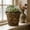Gold, variant on 9 Inch Plastic Flower Pot, Large Thickened Planter with Roman Rattan Design, Decorative Container for s, Vegetables, and Bonsai, Indoor Outdoor Use for Balcony Garden