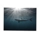 thumbnail image 1 of Imagen de fondo adhesiva lateral para pecera de acuario XS, 1 of 9