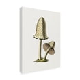 thumbnail image 4 of Trademark Fine Art Pictufy Vintage Inky Cap Edible Mushroom Canvas Wall Art, 4 of 4