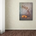 thumbnail image 4 of Trademark Fine Art 'Fall' Canvas Art by Sophie Pan, 4 of 4