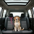 thumbnail image 4 of Hearth & Gear Pet Car Leash Purpose Leash For Dogs And Cars Dog Car Rear Seat Leash Pet Car Leash Nylon Leash for Dogs Trainer Training Dog Leashes for Medium Dogs Thin Leashes for Dogs Two Handle Dog, 4 of 5