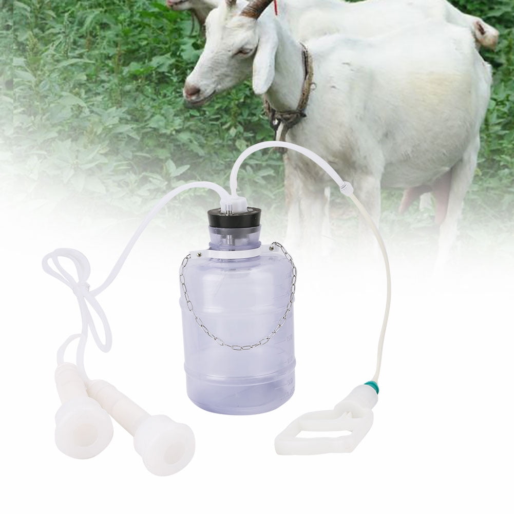 Machine à Traire De Vache à L'élevage Vache à Traite Automatisée De