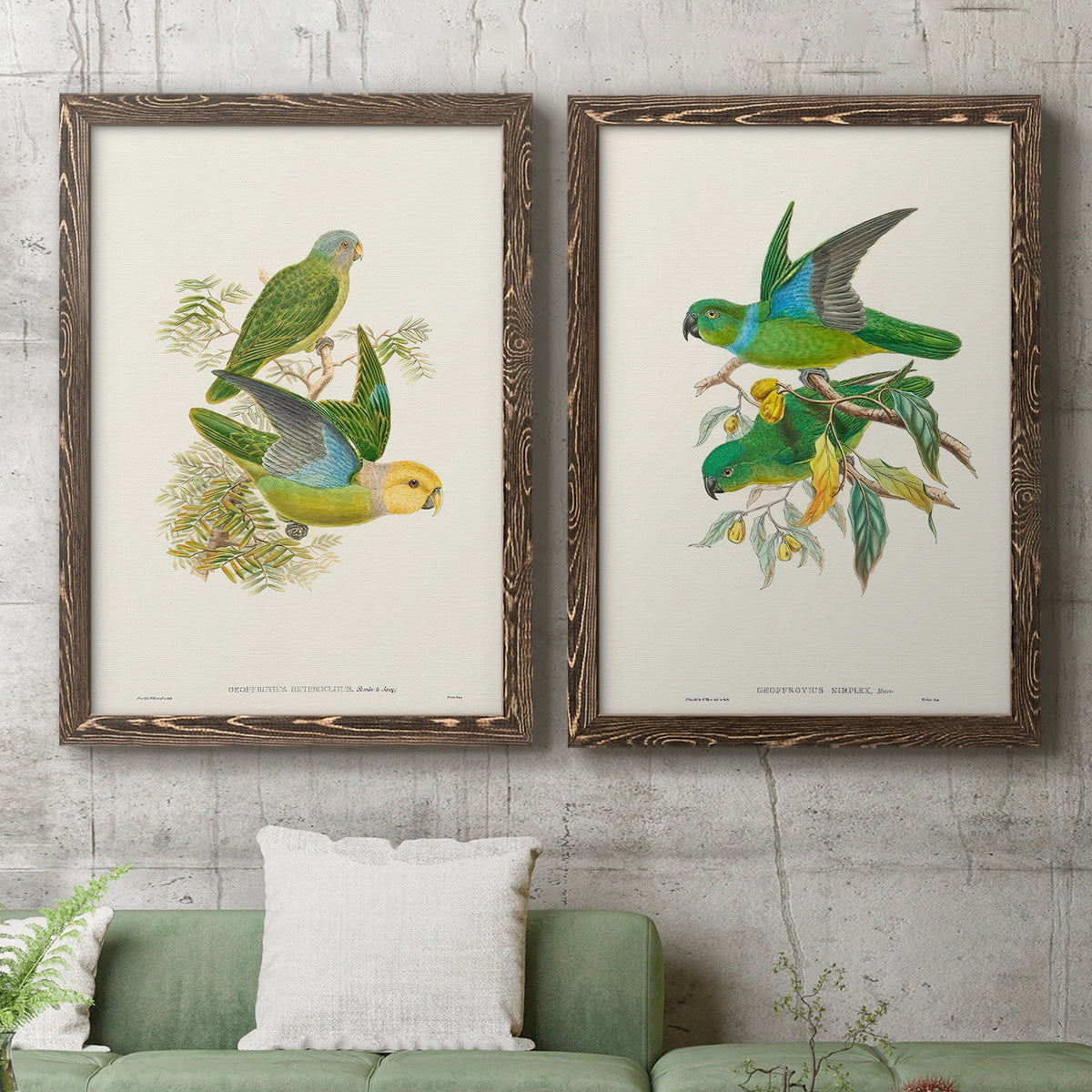 Lime & Cerulean Parrots I - Premium Framed Canvas 2 Piece Set - Ready to Hang