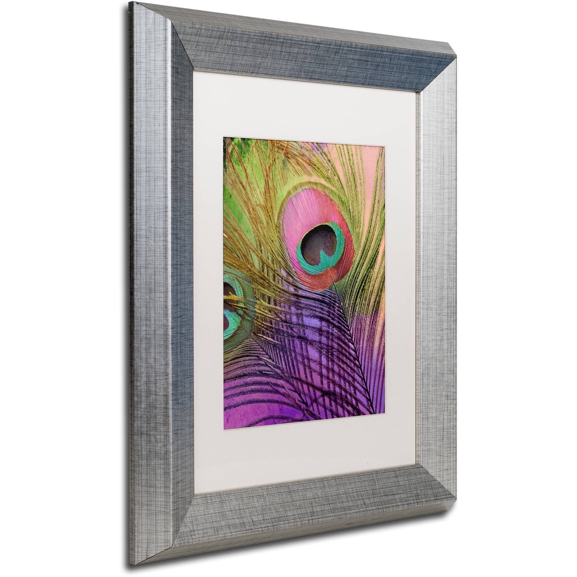 Trademark Fine Art "Peacock Candy III" Canvas Art by Color Bakery White Matte, Silver Frame