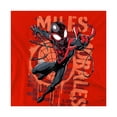 thumbnail image 3 of Spider-Man Chandail en Molleton à Pulvérisation Miles Morales pour Garçons/filles, 3 of 4