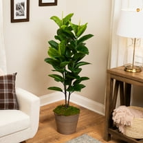 Northlight Artificial Potted Rubber Plant - 51"