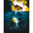 thumbnail image 1 of Pintura de diamante (DB6789) Cuadro cuadrado de globo de agua 5D DIY (mariposa) 45x60cm Hugtrwg Para estrenar, 1 of 1