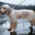 thumbnail image 2 of bestolf Transparent Dog Raincoat Waterproof Pet Poncho Rain Jacket Hooded Rain Coat with Leash Hole for Puppies Small to Large Dogs, 2 of 8