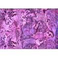 thumbnail image 1 of Ahgly Company Indoor Rectangle Animal Purple Traditional Area Rugs, 4' x 6', 1 of 4
