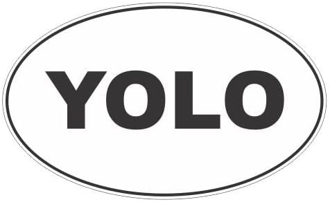 YOLO Oval Euro Vinyl decal sticker Graphic Die Cut CAR Truck Window 7" 