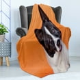 thumbnail image 4 of Dog Lover Soft Flannel Fleece Throw Blanket, Pet Photo of Domestic Akita Breed on Tangerine Tones, Cozy Plush for Indoor and Outdoor Use, 50" x 60", Orange Charcoal Grey, by Ambesonne, 4 of 5