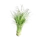 thumbnail image 5 of Planta de flores artificiales, arreglo floral falso, planta falsa, centro de mesa, bonsái PP Blanco, 5 of 9
