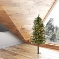thumbnail image 3 of Árbol de Navidad Vickerman Mixed Country Alpine de 90 cm con luces, 3 of 3