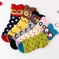 thumbnail image 1 of Chaussettes de Mode Animal Confortables Colorées Paires pour Femmes Style Hibou 5 Chaussettes Mignonnes de Mode, 1 of 9
