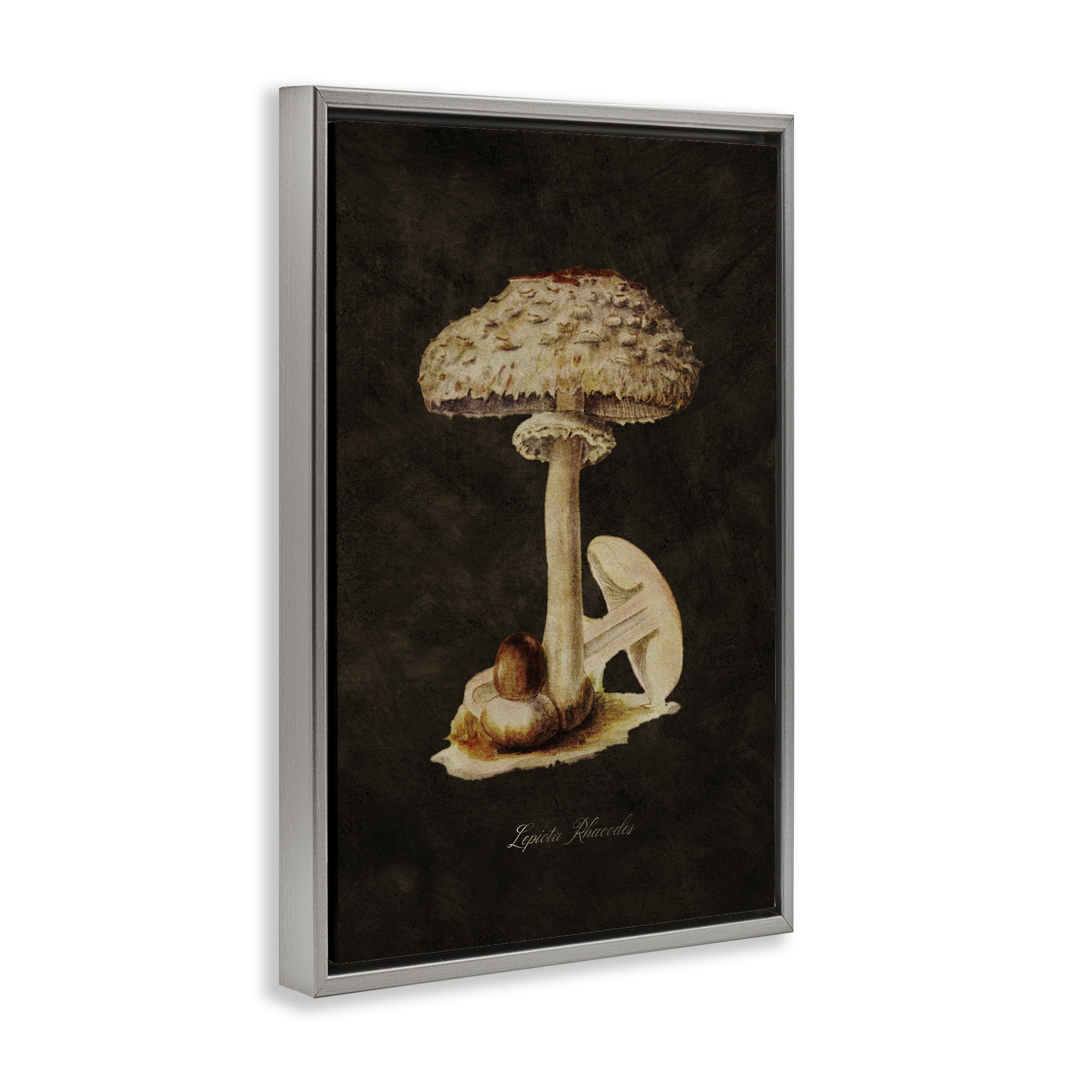 Stupell Industries Vintage Mushroom Study Plants & Flowers Painting Gray Floater Framed Canvas Art Print Wall Art, 17 x 25