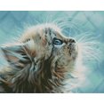 thumbnail image 1 of Kit de pintura de diamante 5D de 30 x 40 cm para niños, gatitos, bordado de diamantes, juego de pintura de lienzo de piedra de cristal, ideal para decoración de paredes del hogar, 1 of 5