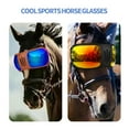 thumbnail image 4 of Pet Sunglass Horse Goggles for Equestrians Sports with Adjustable Strap Easy Wear for Equine Sports, 4 of 9